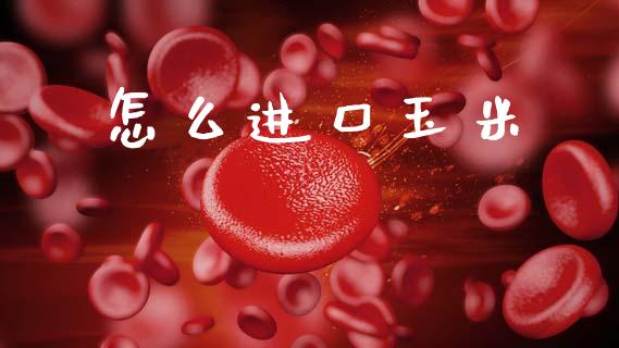 怎么进口玉米_https://m.lcjysmgs.com_股权投资_第1张