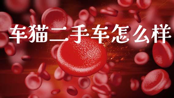 车猫二手车怎么样_https://m.lcjysmgs.com_股权投资_第1张