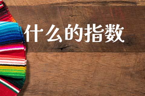 什么的指数_https://m.lcjysmgs.com_金融服务_第1张