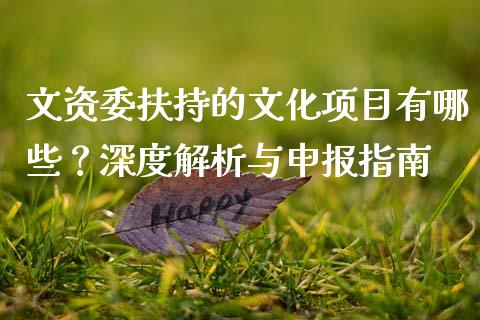 文资委扶持的文化项目有哪些？深度解析与申报指南_https://m.lcjysmgs.com_基金管理_第1张