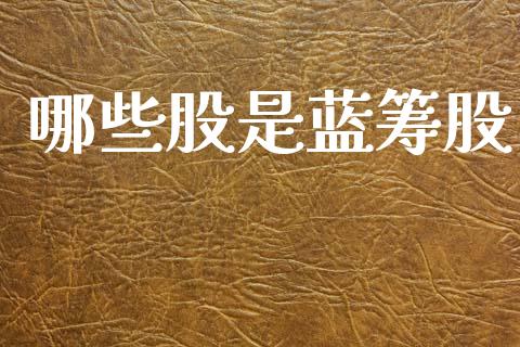 哪些股是蓝筹股_https://m.lcjysmgs.com_股票交易_第1张