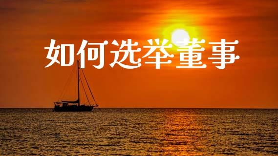 如何选举董事_https://m.lcjysmgs.com_股票交易_第1张