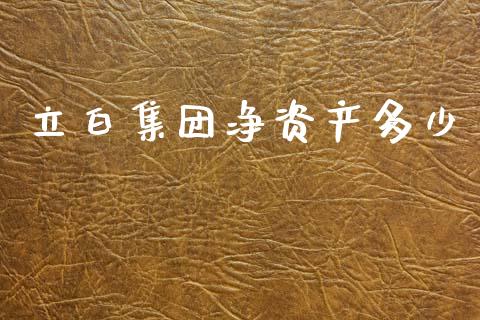 立白集团净资产多少_https://m.lcjysmgs.com_股权投资_第1张
