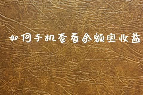 如何手机查看余额宝收益_https://m.lcjysmgs.com_金融服务_第1张