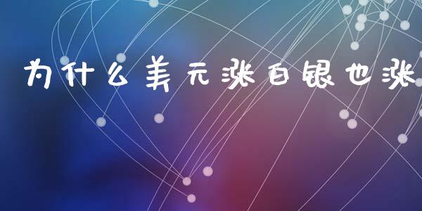 为什么美元涨白银也涨_https://m.lcjysmgs.com_股票交易_第1张