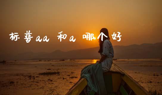 标普aa 和a 哪个好_https://m.lcjysmgs.com_股权投资_第1张