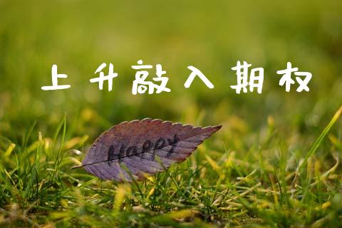 上升敲入期权_https://m.lcjysmgs.com_股权投资_第1张