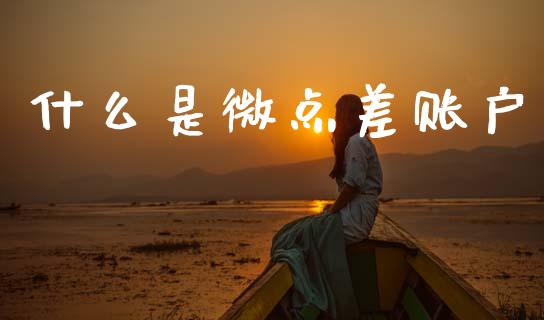 什么是微点差账户_https://m.lcjysmgs.com_股权投资_第1张