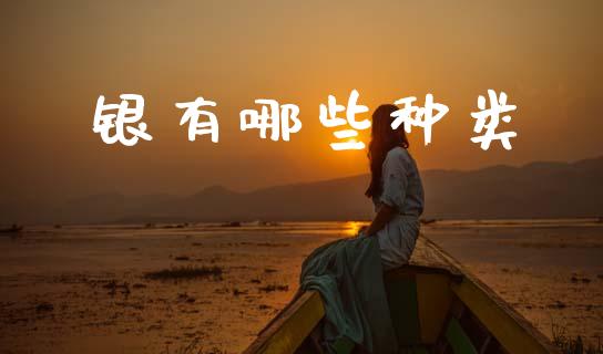 银有哪些种类_https://m.lcjysmgs.com_股票交易_第1张