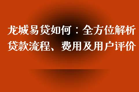 龙城易贷如何：全方位解析贷款流程、费用及用户评价_https://m.lcjysmgs.com_基金管理_第1张