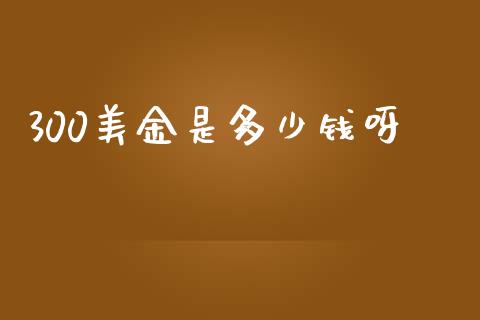 300美金是多少钱呀_https://m.lcjysmgs.com_金融服务_第1张