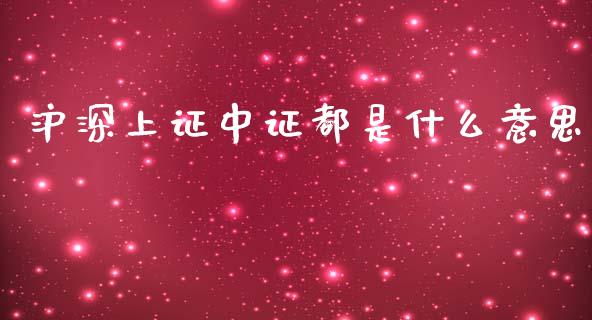 沪深上证中证都是什么意思_https://m.lcjysmgs.com_金融服务_第1张