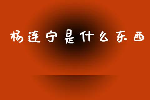 杨连宁是什么东西_https://m.lcjysmgs.com_基金管理_第1张