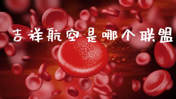 吉祥航空是哪个联盟_https://m.lcjysmgs.com_股权投资_第1张