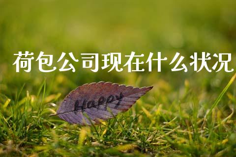 荷包公司现在什么状况_https://m.lcjysmgs.com_金融服务_第1张
