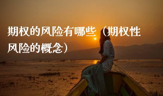 期权的风险有哪些（期权性风险的概念）_https://m.lcjysmgs.com_股权投资_第1张