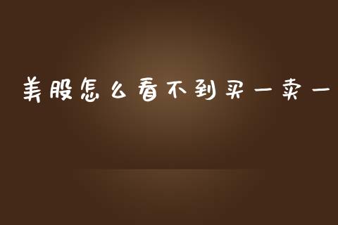 美股怎么看不到买一卖一_https://m.lcjysmgs.com_股票交易_第1张