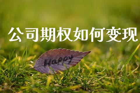公司期权如何变现_https://m.lcjysmgs.com_股权投资_第1张