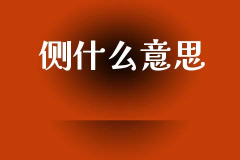 侧什么意思_https://m.lcjysmgs.com_金融服务_第1张