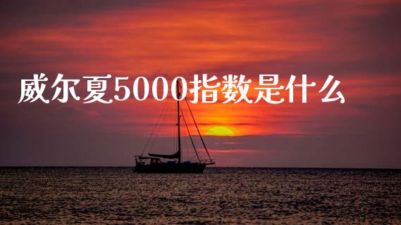 威尔夏5000指数是什么_https://m.lcjysmgs.com_基金管理_第1张