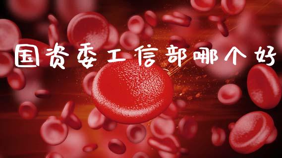 国资委工信部哪个好_https://m.lcjysmgs.com_股票交易_第1张