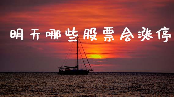 明天哪些股票会涨停_https://m.lcjysmgs.com_基金管理_第1张