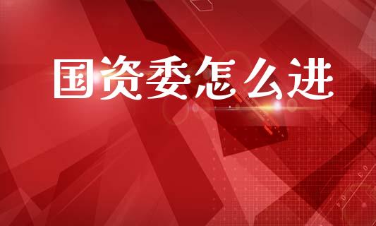 国资委怎么进_https://m.lcjysmgs.com_金融服务_第1张