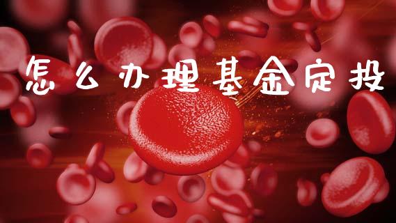 怎么办理基金定投_https://m.lcjysmgs.com_股权投资_第1张