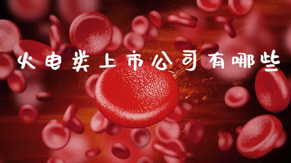 火电类上市公司有哪些_https://m.lcjysmgs.com_股权投资_第1张