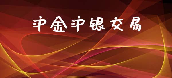沪金沪银交易_https://m.lcjysmgs.com_股权投资_第1张