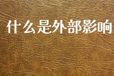 什么是外部影响_https://m.lcjysmgs.com_股票交易_第1张