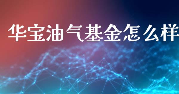 华宝油气基金怎么样_https://m.lcjysmgs.com_股权投资_第1张