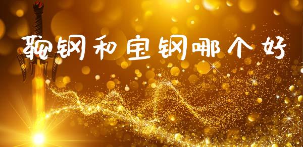 鞍钢和宝钢哪个好_https://m.lcjysmgs.com_金融服务_第1张