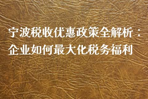 宁波税收优惠政策全解析：企业如何最大化税务福利_https://m.lcjysmgs.com_金融服务_第1张