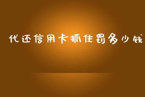 代还信用卡抓住罚多少钱_https://m.lcjysmgs.com_基金管理_第1张