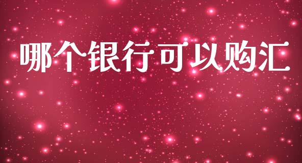 哪个银行可以购汇_https://m.lcjysmgs.com_金融服务_第1张