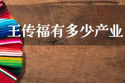 王传福有多少产业_https://m.lcjysmgs.com_金融服务_第1张