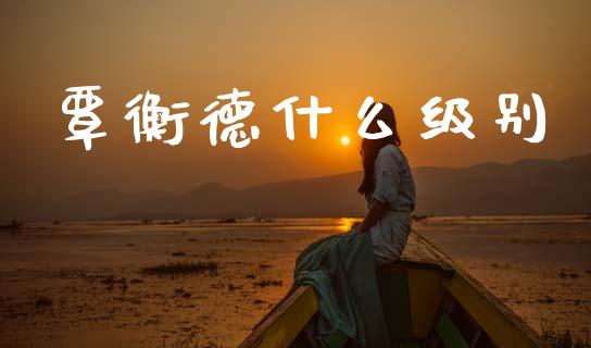覃衡德什么级别_https://m.lcjysmgs.com_金融服务_第1张