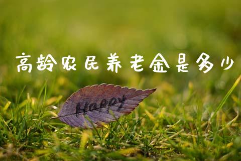 高龄农民养老金是多少_https://m.lcjysmgs.com_股票交易_第1张