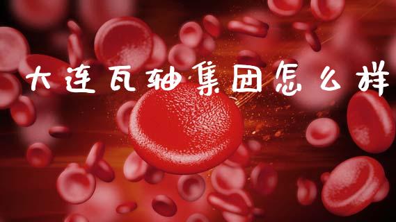 大连瓦轴集团怎么样_https://m.lcjysmgs.com_金融服务_第1张