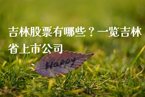 吉林股票有哪些？一览吉林省上市公司_https://m.lcjysmgs.com_金融服务_第1张