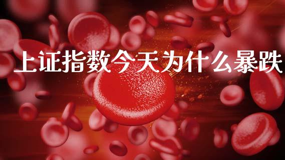 上证指数今天为什么暴跌_https://m.lcjysmgs.com_基金管理_第1张