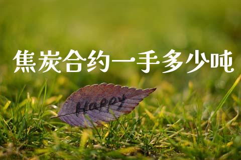 焦炭合约一手多少吨_https://m.lcjysmgs.com_基金管理_第1张