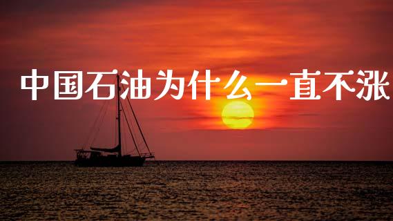 中国石油为什么一直不涨_https://m.lcjysmgs.com_股票交易_第1张