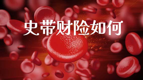 史带财险如何_https://m.lcjysmgs.com_股权投资_第1张