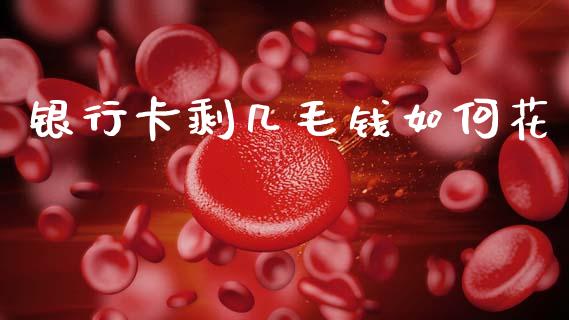 银行卡剩几毛钱如何花_https://m.lcjysmgs.com_股权投资_第1张
