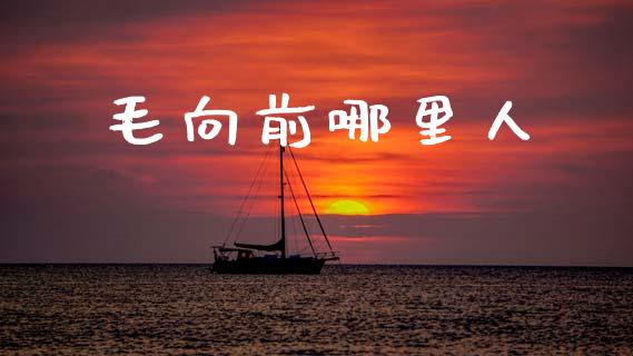 毛向前哪里人_https://m.lcjysmgs.com_金融服务_第1张