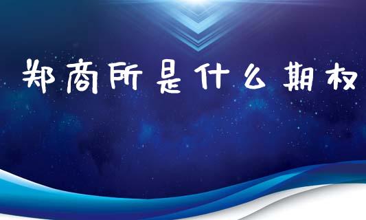 郑商所是什么期权_https://m.lcjysmgs.com_基金管理_第1张