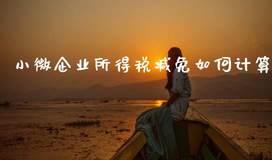 小微企业所得税减免如何计算_https://m.lcjysmgs.com_基金管理_第1张