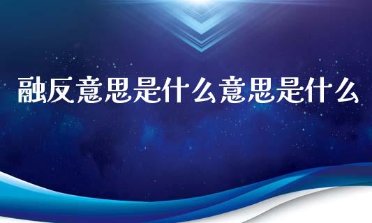 融反意思是什么意思是什么_https://m.lcjysmgs.com_股权投资_第1张